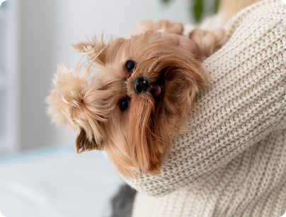 Why Multivitamins Aren’t Just for Humans