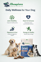 Daily Multivitamin Chews for Dogs